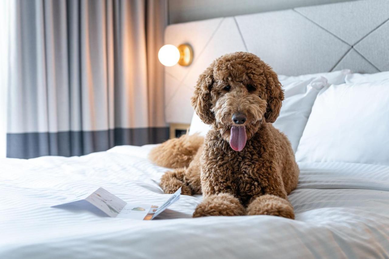 Residence Inn By Marriott Slough Ngoại thất bức ảnh